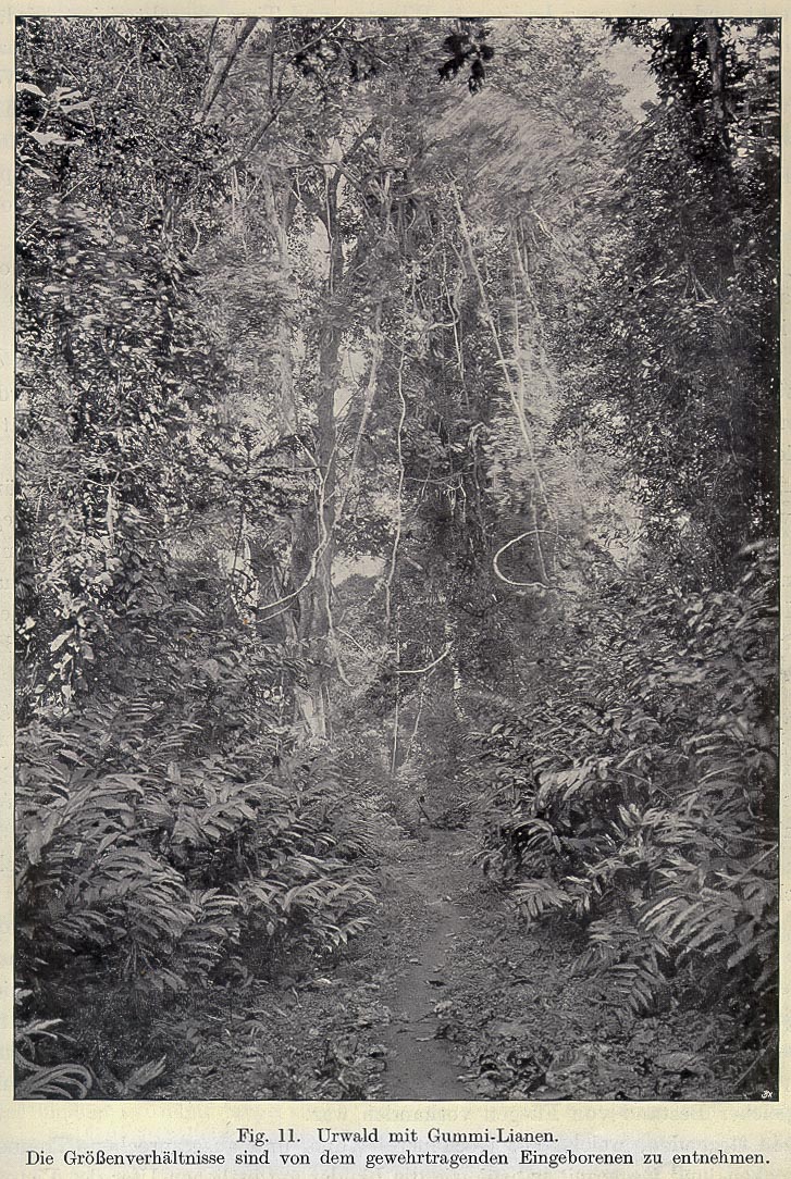 Maladie du sommeil