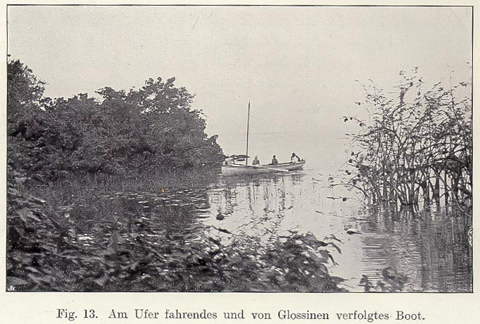 Maladie du sommeil