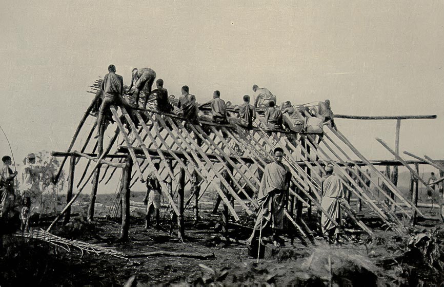 Maladie du sommeil