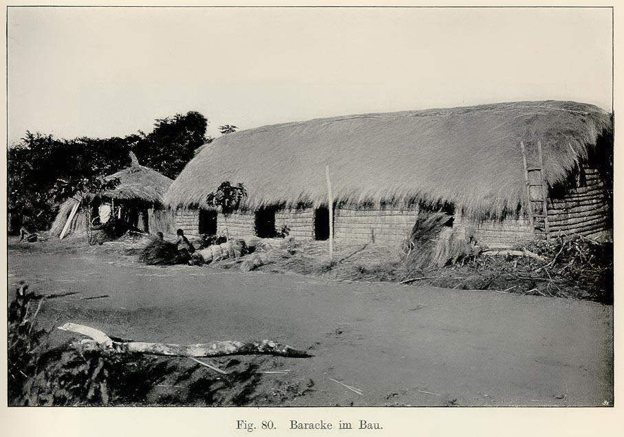Maladie du sommeil