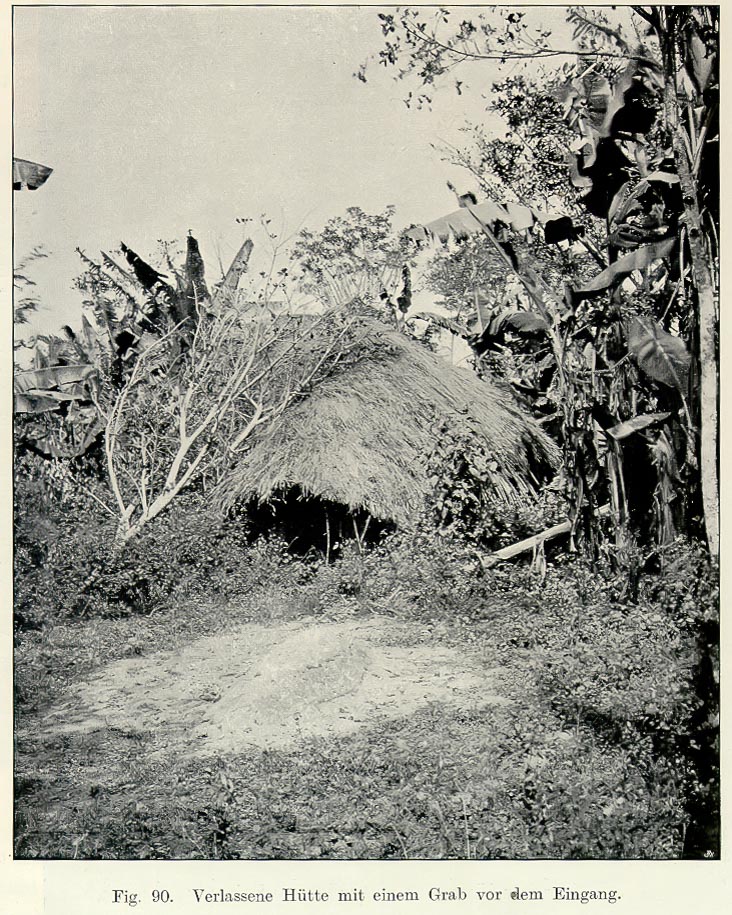 Maladie du sommeil