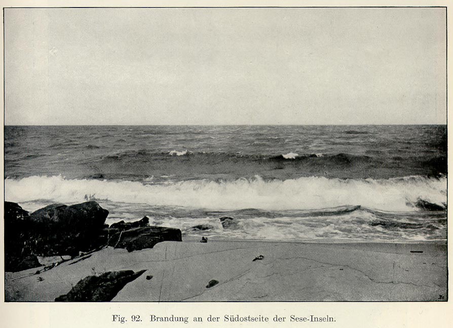 Maladie du sommeil