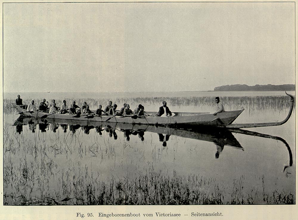 Maladie du sommeil