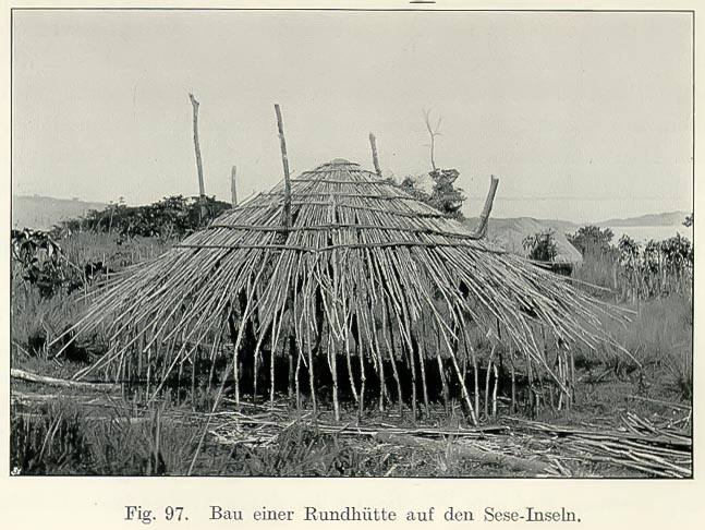 Maladie du sommeil