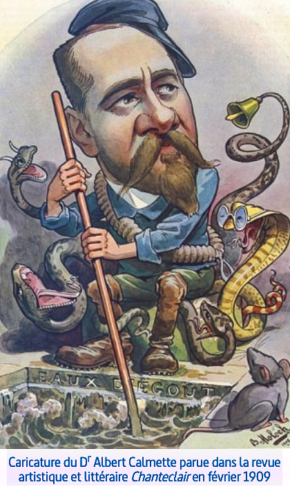 Albert Calmette