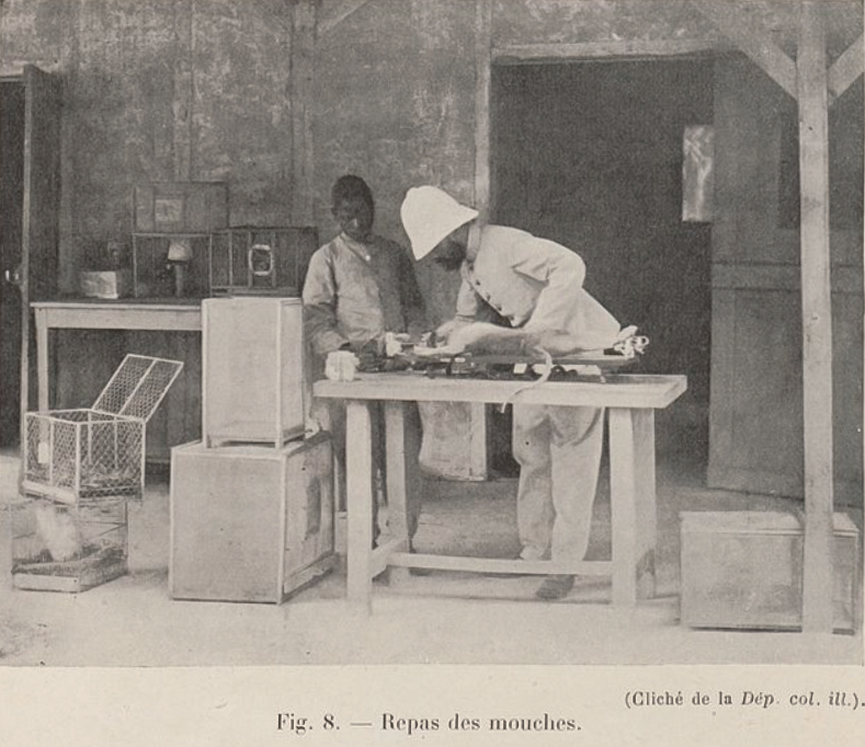 Rapport Mission Martin Leboeuf- Roubaud au Congo 1909.